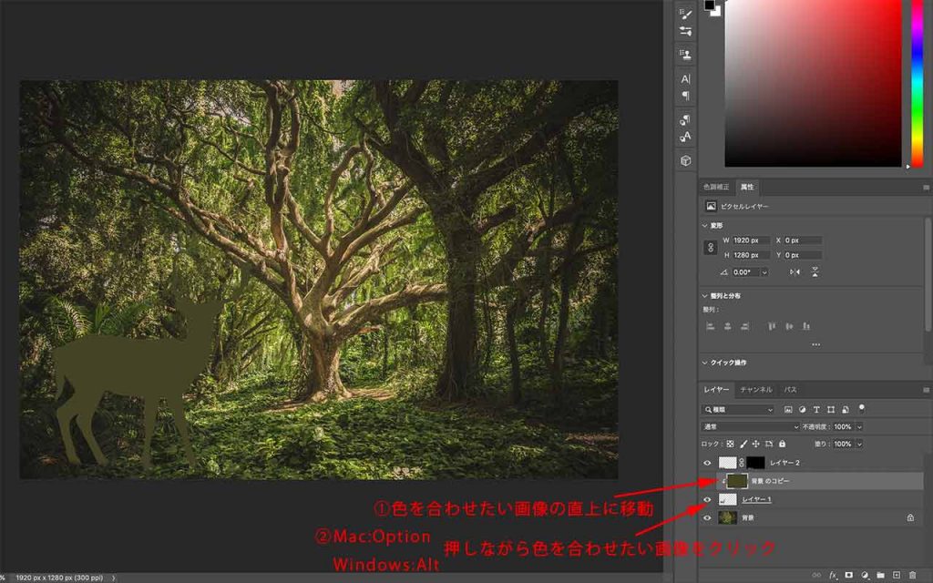 Photoshop いますぐ使えるテクニック 画像を合成したときの色の違和感をなくす方法 狼読